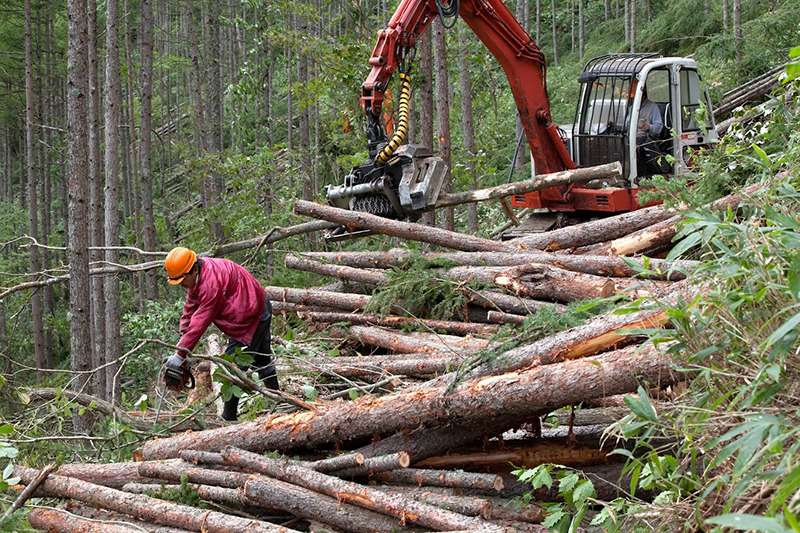 伐採した木材を責任を持って運搬します